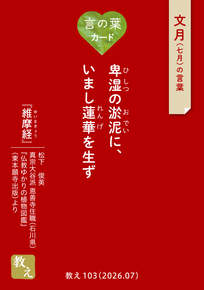 言の葉カード