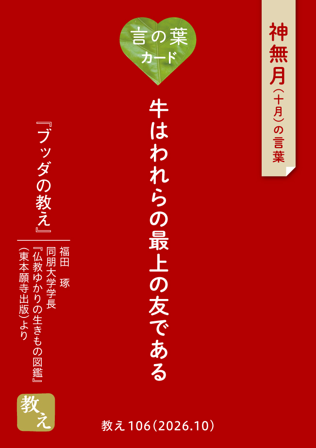 言の葉カード