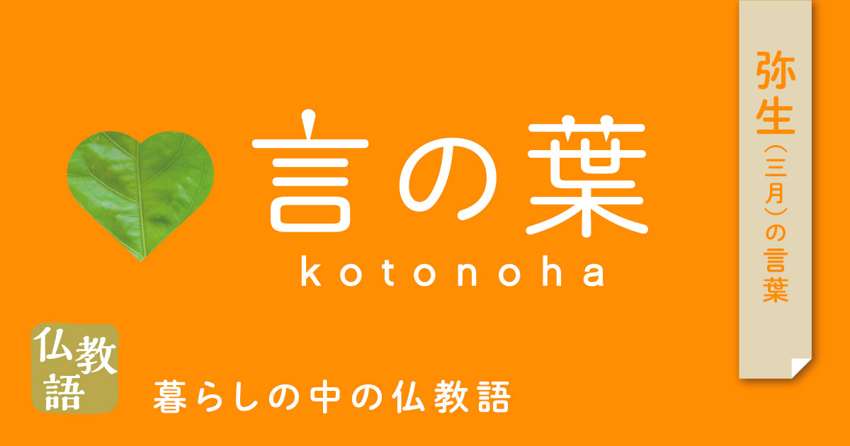 kotonoha 言の葉(ことのは)|暮らしの中の仏教語 kotonoha 言の葉(ことのは)|暮らしの中の仏教語